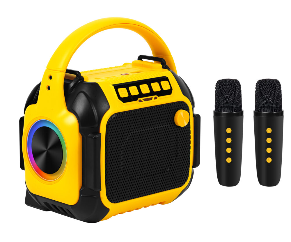 21816# 独家私模/跨境电商爆款/卡拉OK蓝牙音响收音机